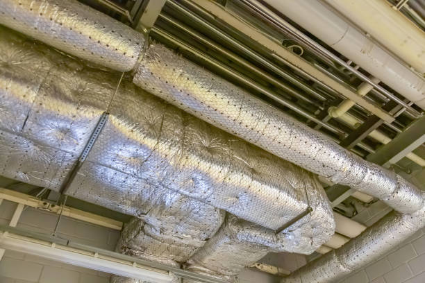 Air Duct Mold Removal in Centereach, NY